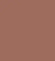 #9e6c5d.png