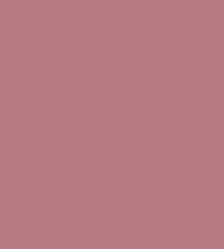 #b67a83.png