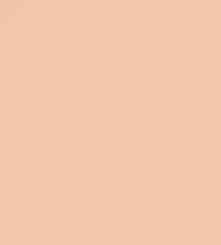 #f1c6a9.png