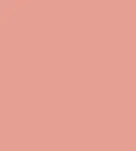 FireShot Capture 301 - #e6a093.png
