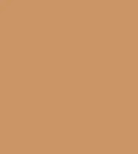 FireShot Capture 281 - #cb9566.png