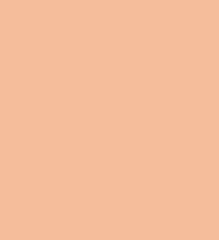 FireShot Capture 197 - #f4bd9a.png