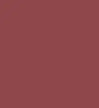 FireShot Capture 338 - #8f484b.png