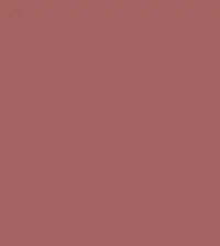 FireShot Capture 171 - #a5635f.png