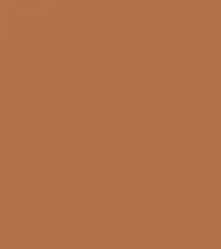FireShot Capture 139 - #b4724a.png
