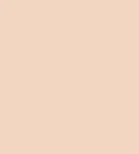 FireShot Capture 022 - #f2d6c1.png
