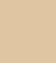 FireShot Capture 270 - #dec5a1.png