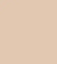 FireShot Capture 143 - #e1c8b1.png