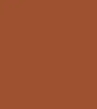 FireShot Capture 252 - #9d512f.png
