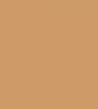FireShot Capture 345 - #ce9a68.png