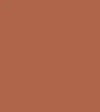 FireShot Capture 072 - #af654a.png