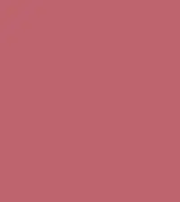 FireShot Capture 343 - #be646d.png