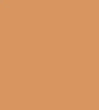 FireShot Capture 362 - #d79561.png