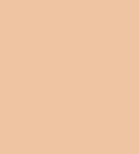 #f1c3a1.png