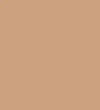 FireShot Capture 355 - #cea07e.png