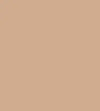 FireShot Capture 303 - #d0ab8e.png