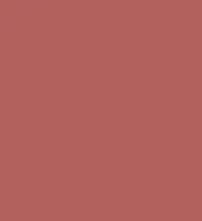 FireShot Capture 336 - #b1615b.png