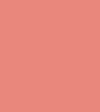 #e9877c.png