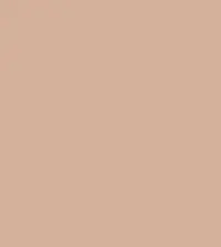 FireShot Capture 273 - #d5b19b.png
