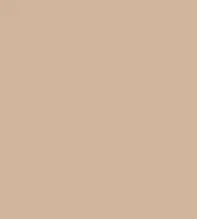 FireShot Capture 119 - #d0b49c.png