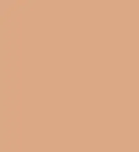 FireShot Capture 249 - #dca885.png