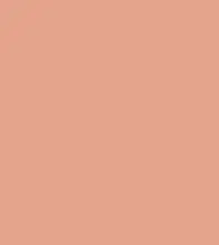 FireShot Capture 256 - #e5a48c.png