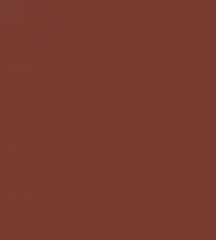 FireShot Capture 310 - #7a3b31.png