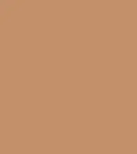 FireShot Capture 215 - #c3906a.png