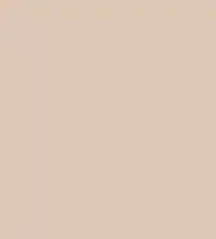 FireShot Capture 149 - #dec7b7.png