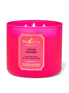 VELAS BATH AND BODY WORKS