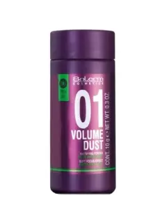 SALERM VOLUME DUST POLVO DE VOLUMEN 10G