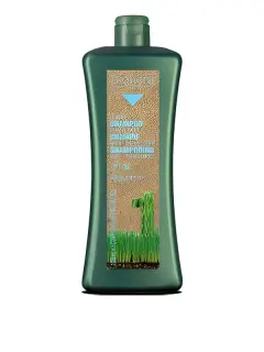 SALERM BIOKERA SCALP CARE SHAMPOO MIEL 300ML