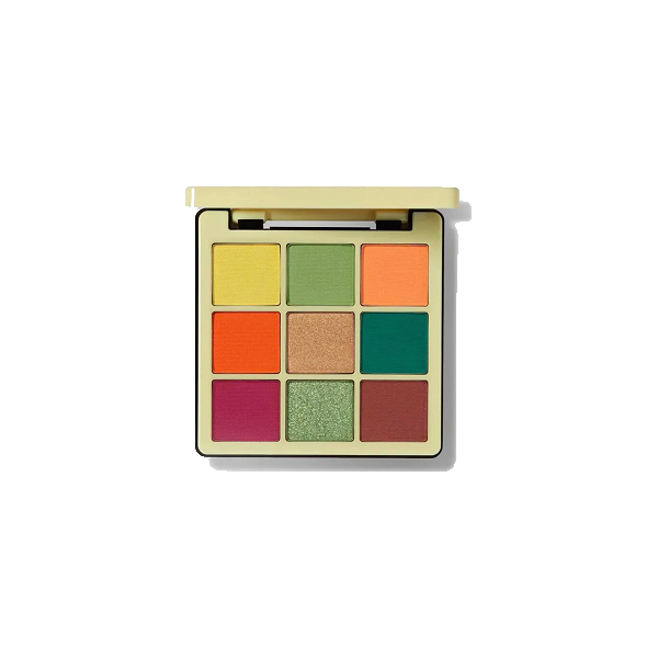 ANASTASIA BEVERLY HILLS NORVINA VOL 2